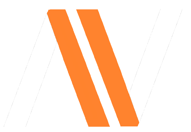 NetVision Sistemas logo